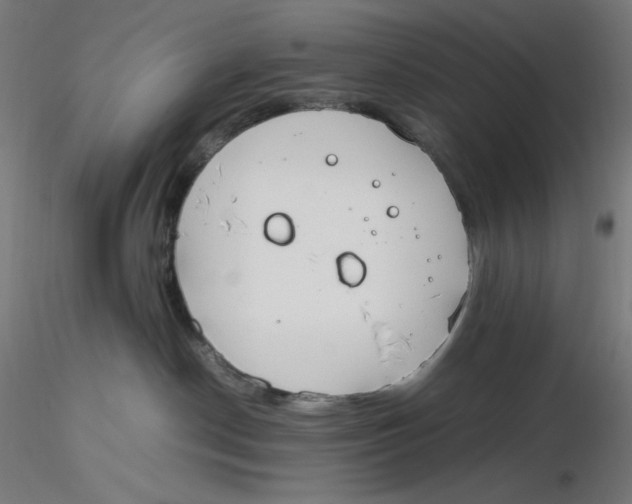 X0000116260190200912291504
