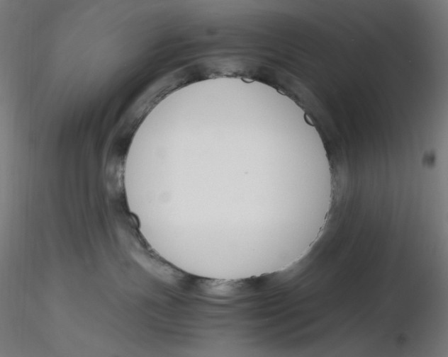 X0000116260191200912291504