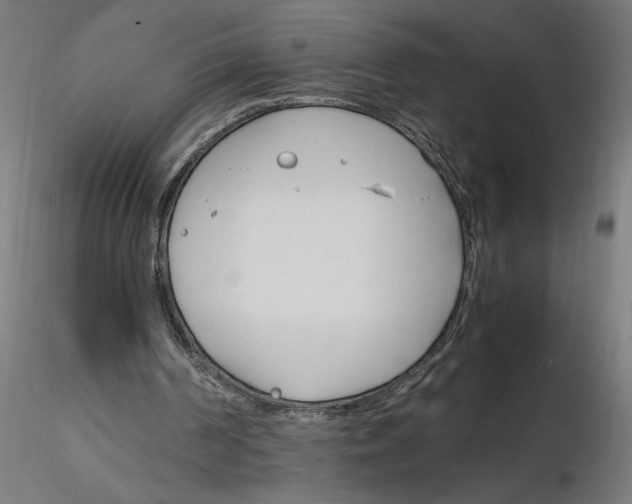 X0000116260194200912291503