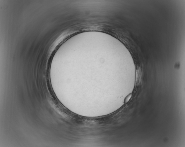X0000116260195200912291503