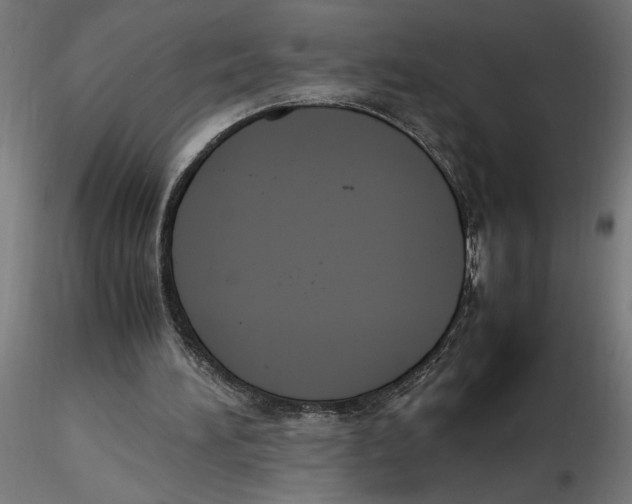 X0000116260196200912291503
