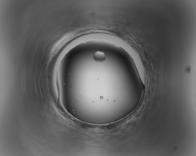 X0000116260197200912291503