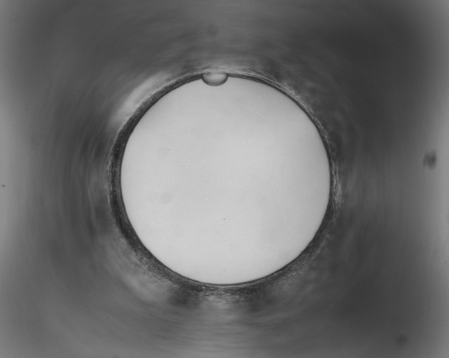 X0000116260199200912291503