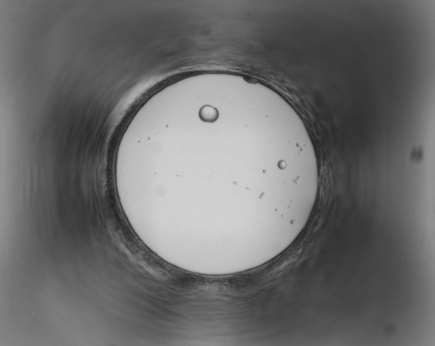 X0000116260200200912291503