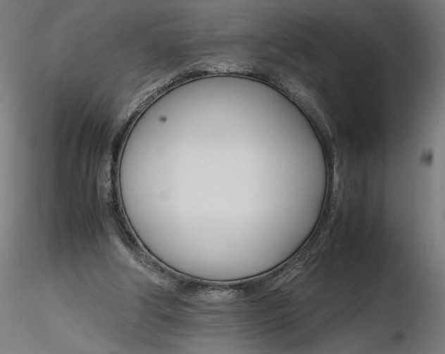 X0000116260202200912291503