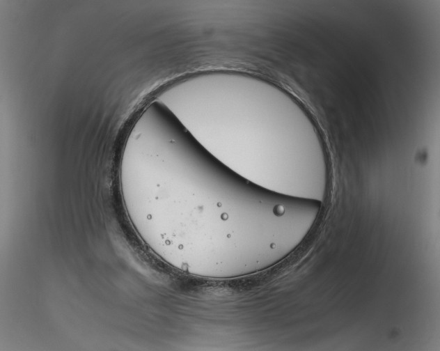 X0000116260203200912291503