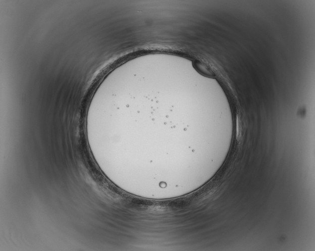 X0000116260204200912291503