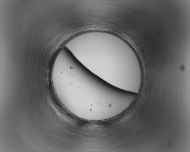 X0000116260205200912291503