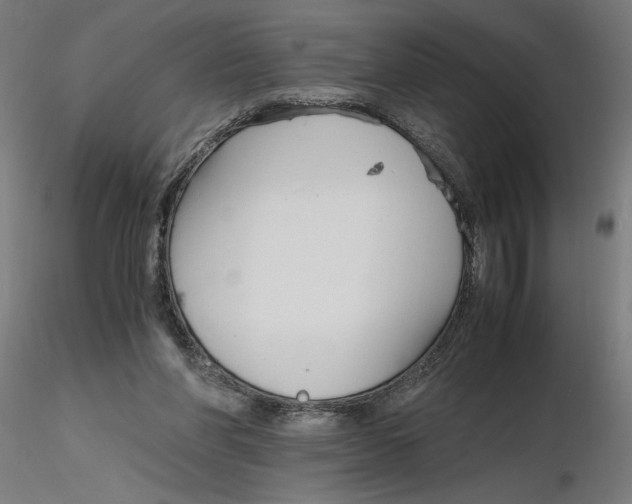 X0000116260206200912291503
