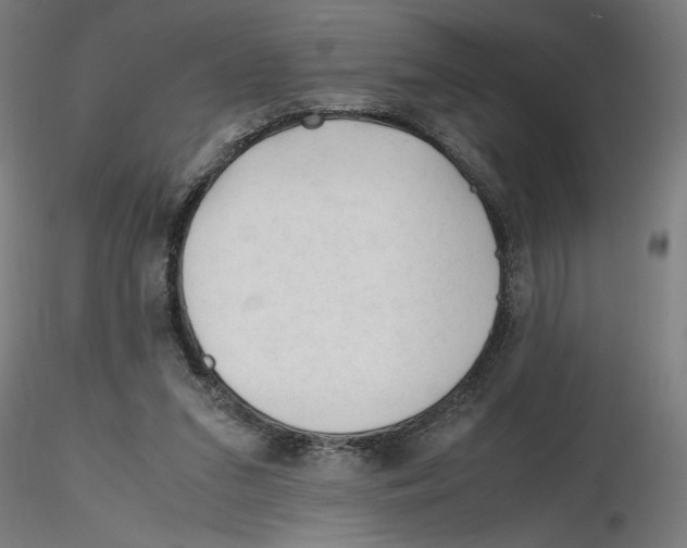 X0000116260207200912291503