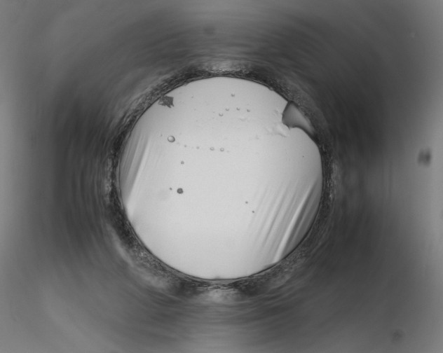 X0000116260210200912291503