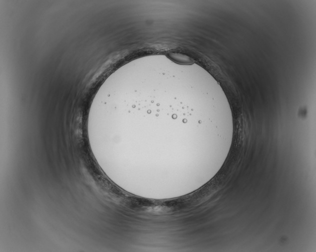 X0000116260212200912291503