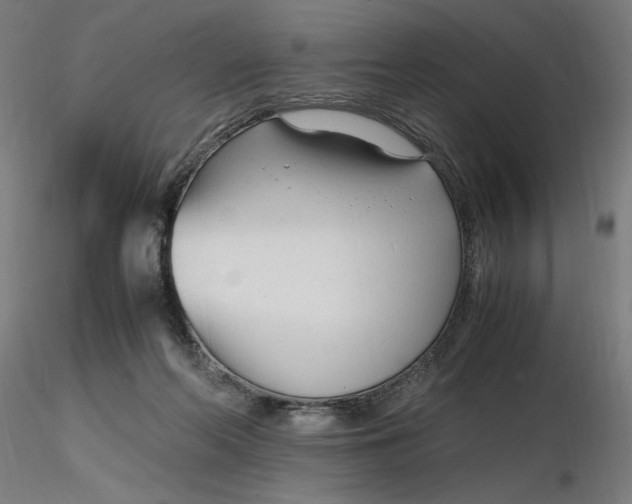 X0000116260214200912291503