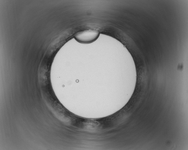 X0000116260215200912291503