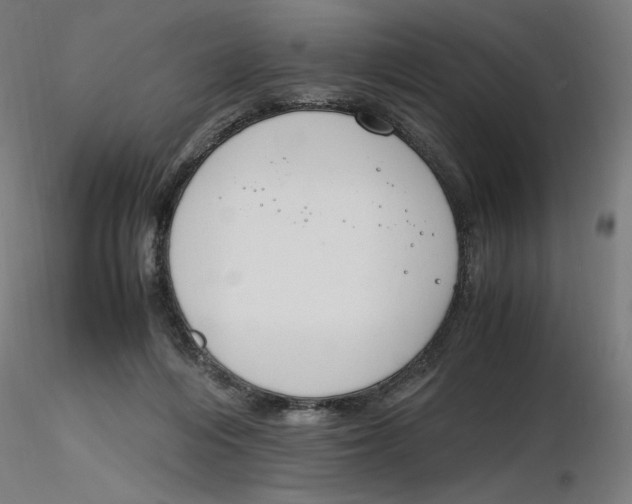 X0000116260216200912291503
