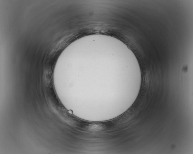 X0000116260218200912291503