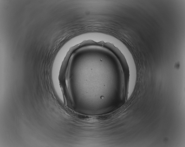 X0000116260219200912291503