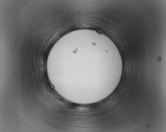 X0000116260220200912291503