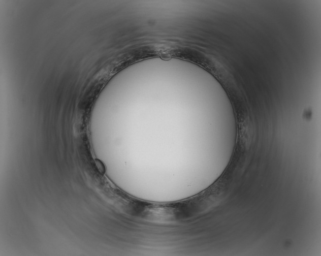 X0000116260221200912291503