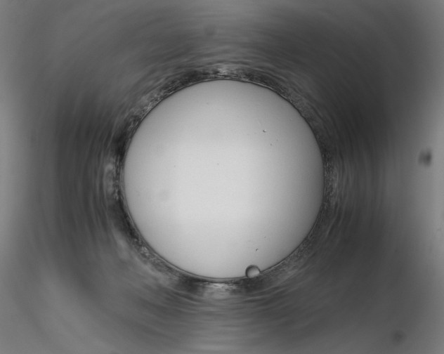 X0000116260222200912291503