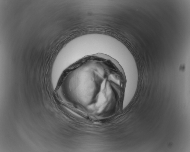 X0000116260223200912291503