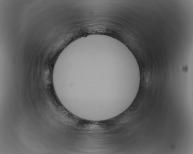 X0000116260224200912291503
