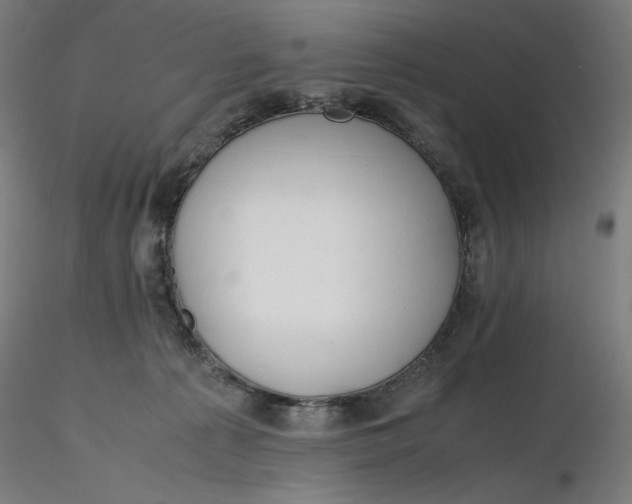 X0000116260225200912291503