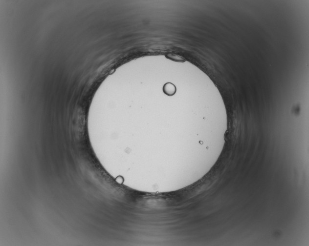 X0000116260228200912291503