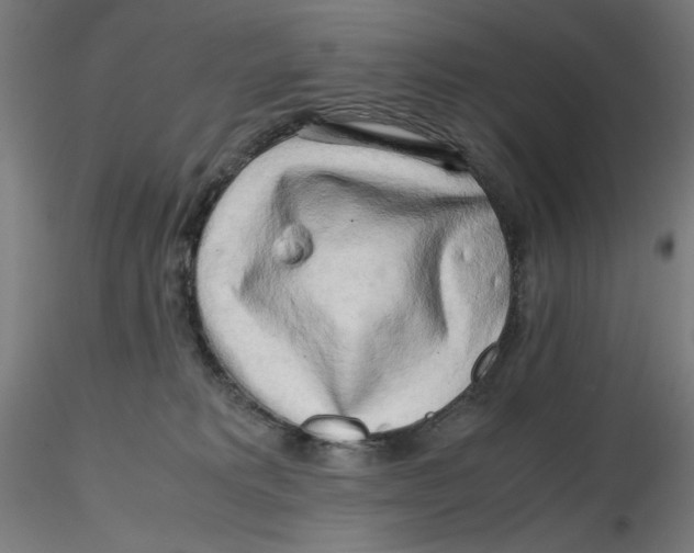 X0000116260229200912291503
