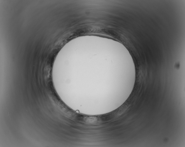 X0000116260230200912291503