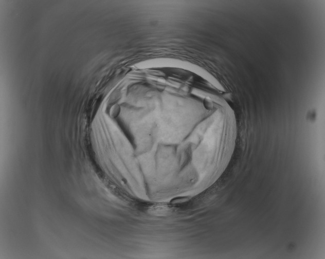 X0000116260231200912291503