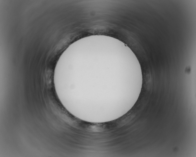 X0000116260232200912291503