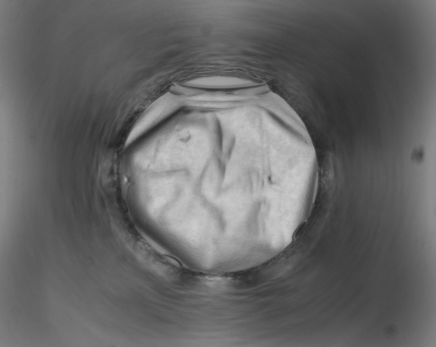 X0000116260233200912291503