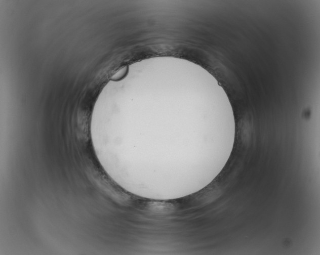 X0000116260234200912291503
