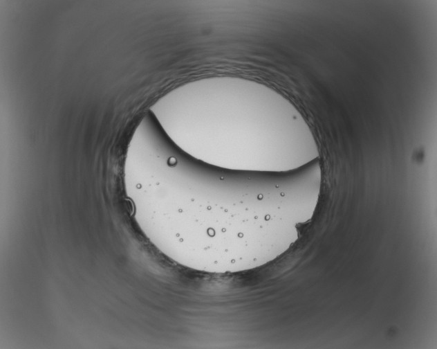 X0000116260235200912291503