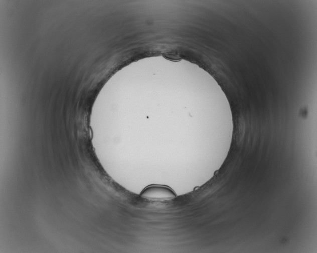 X0000116260236200912291503