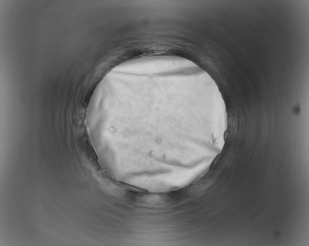 X0000116260237200912291503