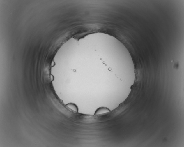 X0000116260238200912291503