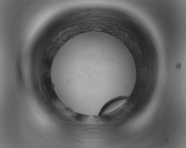X0000116260239200912291503