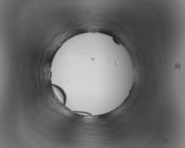 X0000116260240200912291503