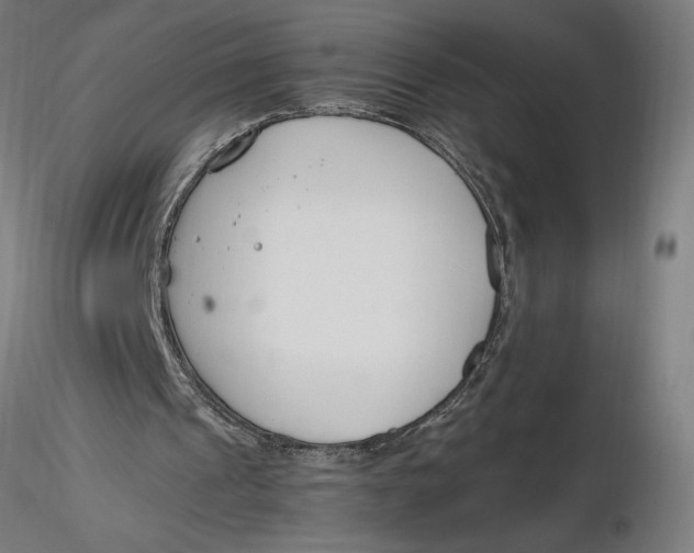 X0000116260241200912291502