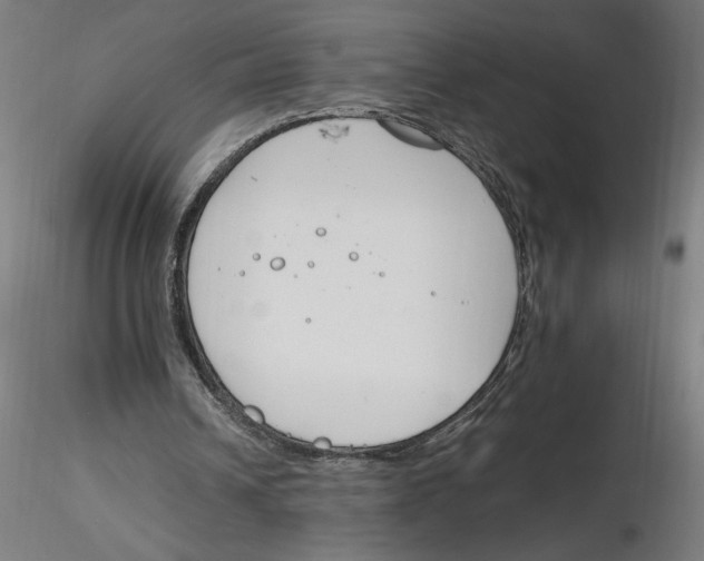 X0000116260242200912291502