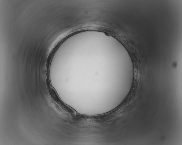 X0000116260244200912291502