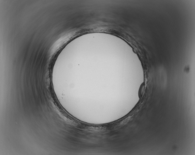 X0000116260245200912291502