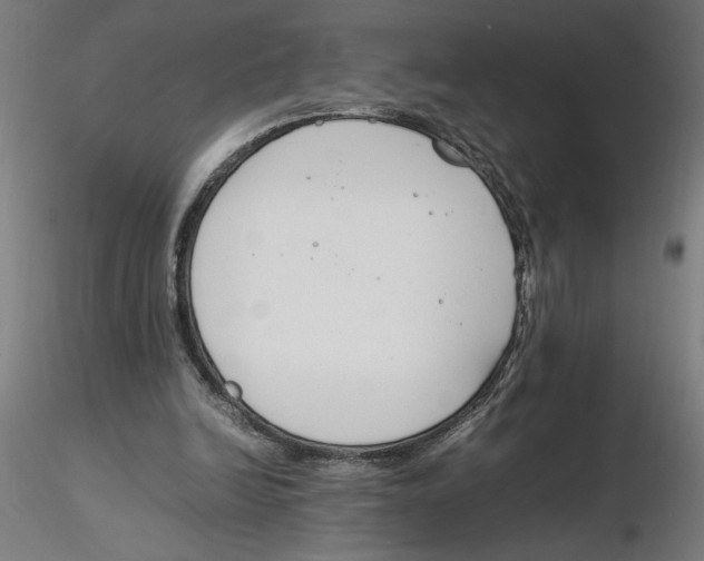 X0000116260246200912291502
