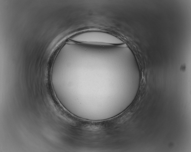 X0000116260247200912291502