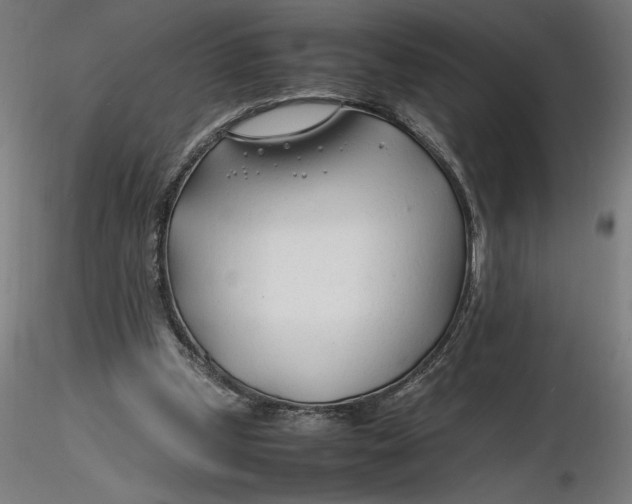 X0000116260249200912291502