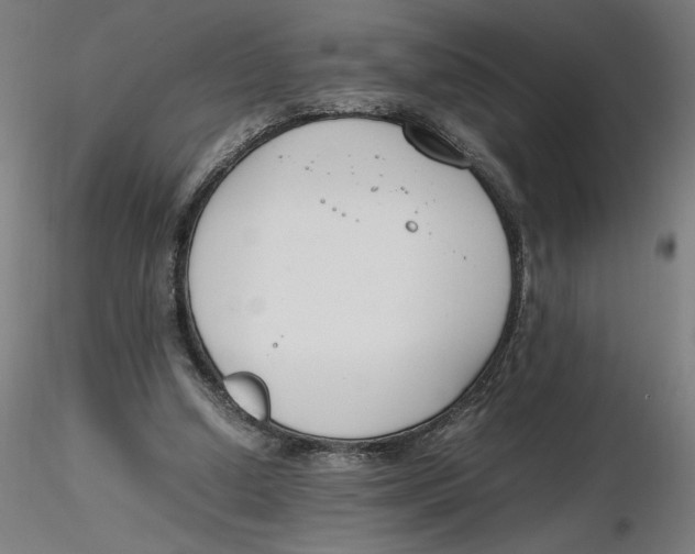 X0000116260250200912291502