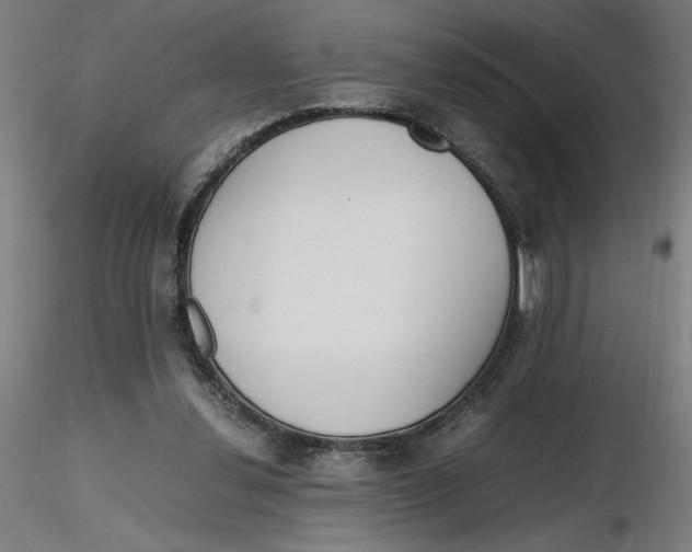 X0000116260252200912291502