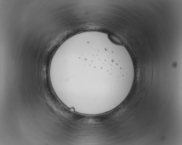X0000116260254200912291502